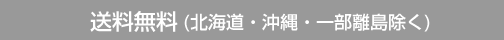 条件付送料無料