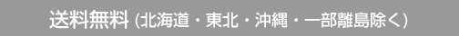 条件付送料無料