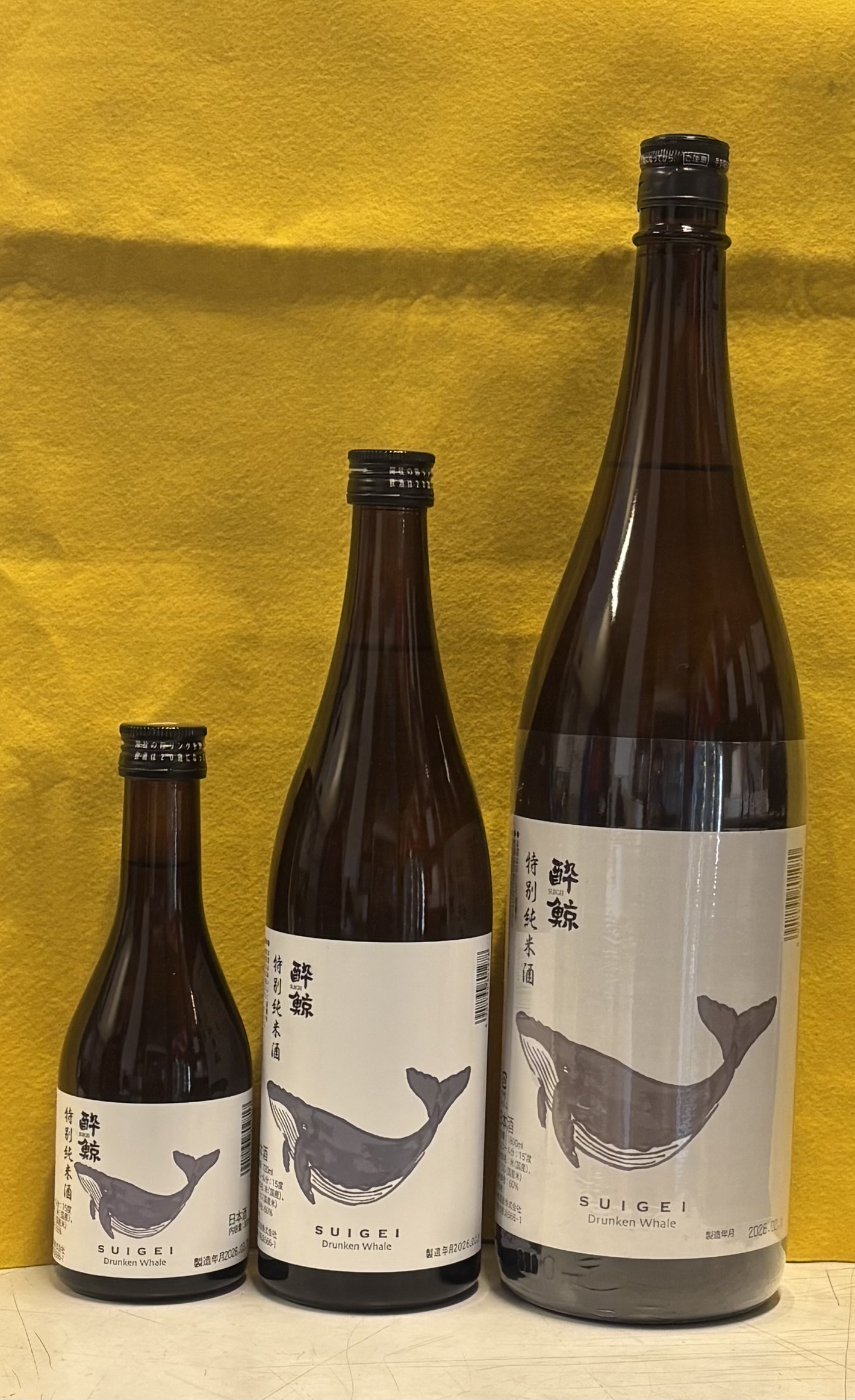 酔鯨が入荷しました。